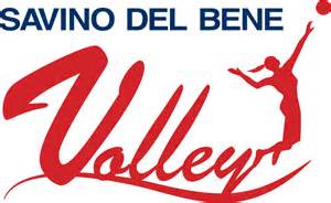 volley logo